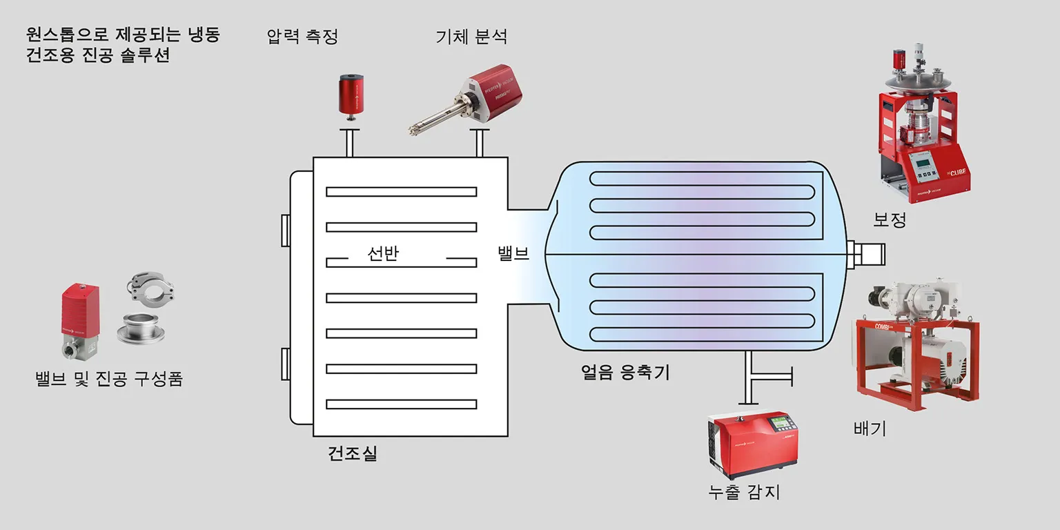 Freeze Drying Picture 2 Ko
