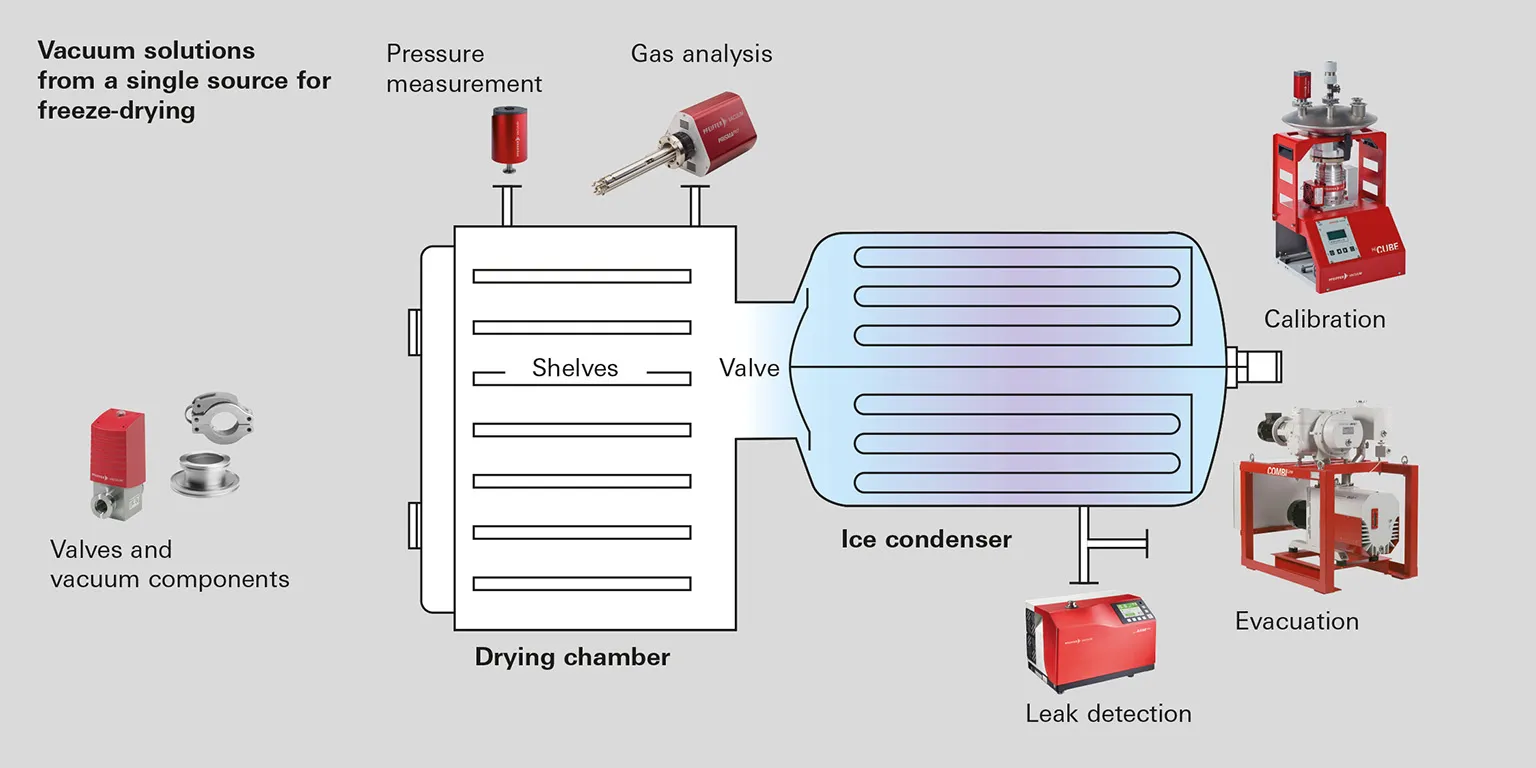 Freeze Drying Picture 2 En
