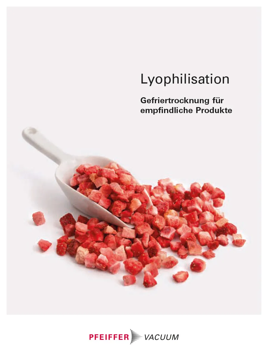 Bericht Gefriertrocknung Lyophilisation