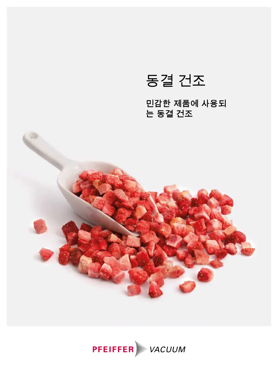 Article Freeze Drying Lyophilization Korean