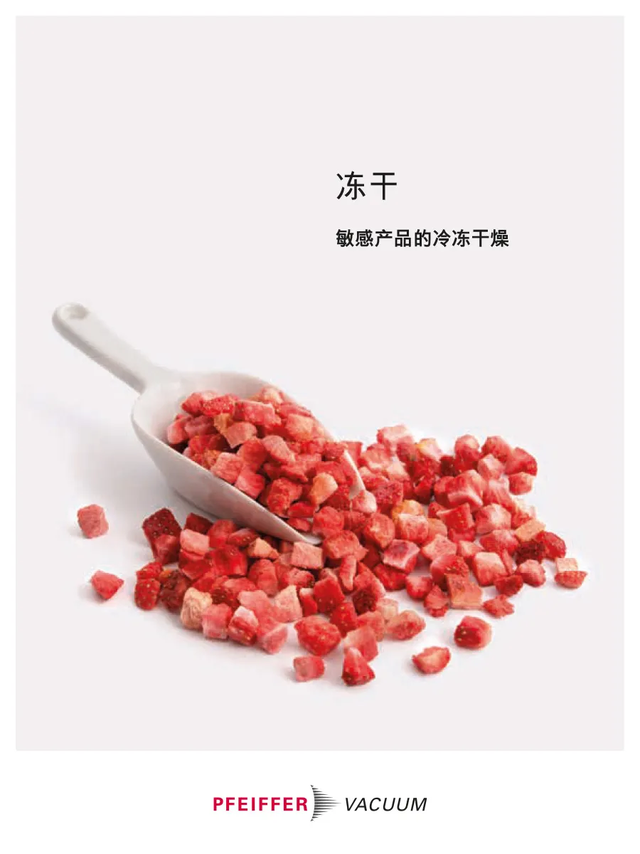 Article Freeze Drying Lyophilization Chinese