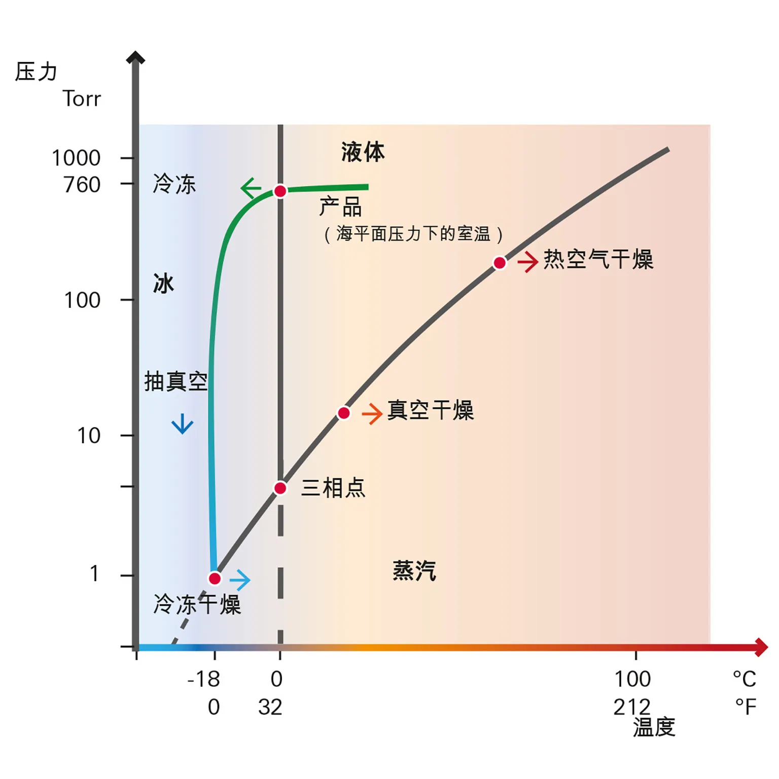 Freeze Drying Picture 1 Zh