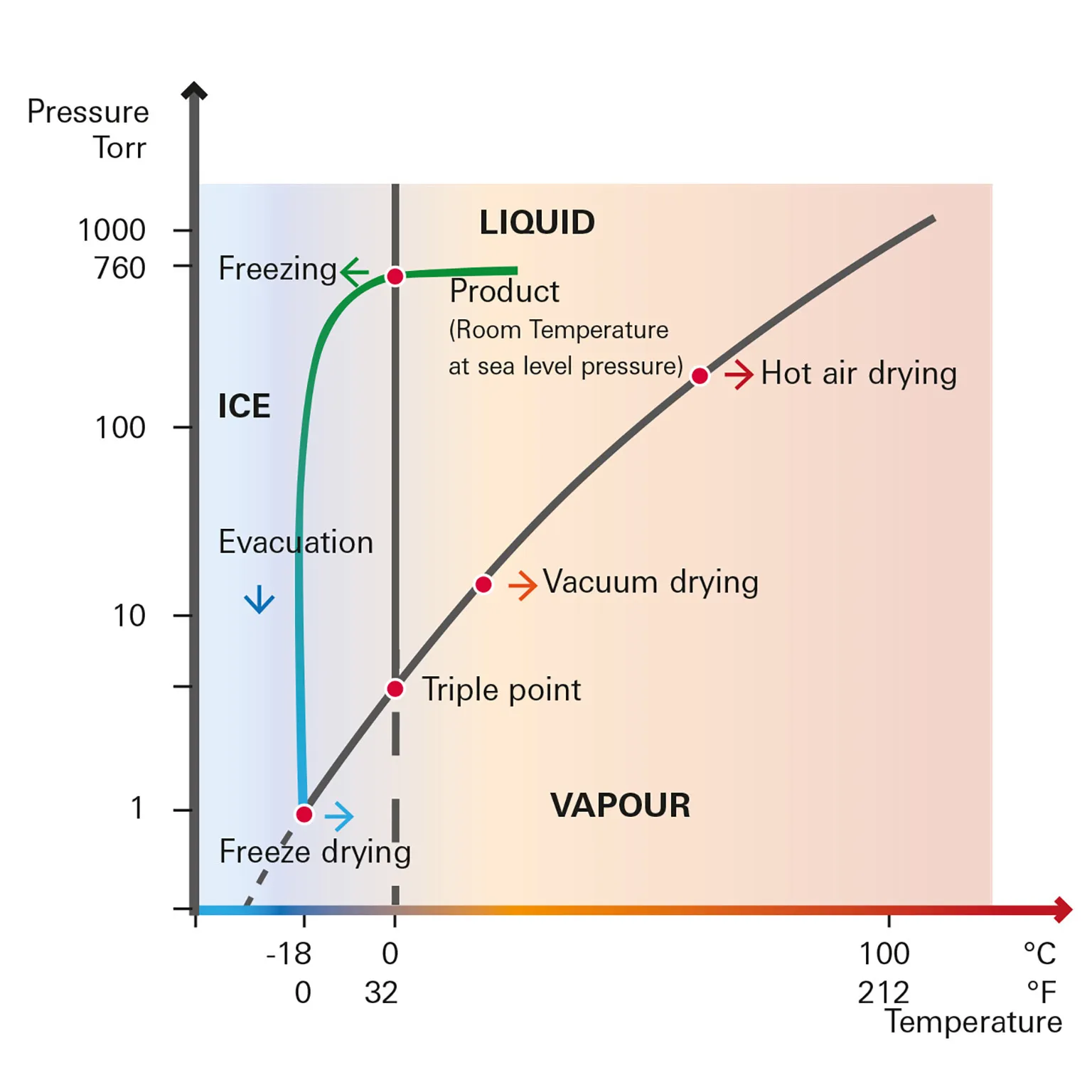 Freeze Drying Picture 1 En