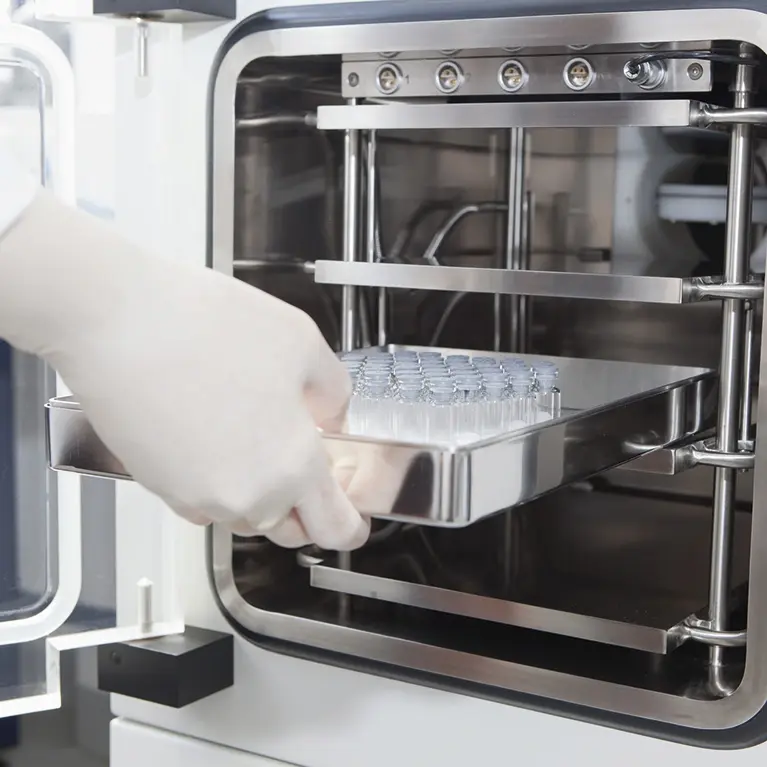 lab_freeze_drying