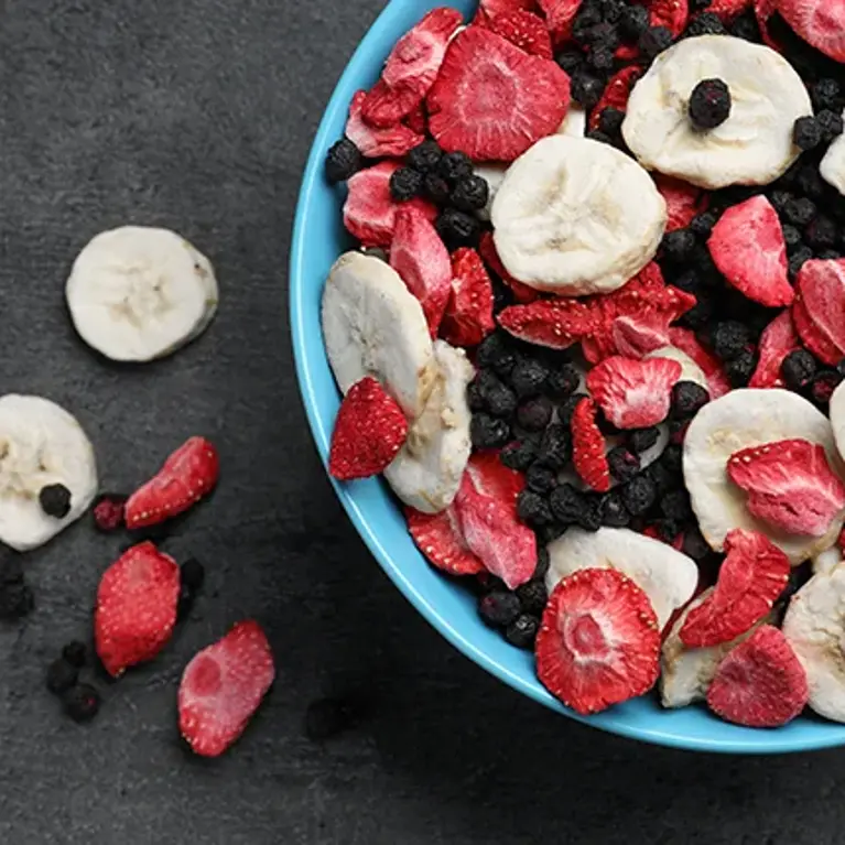 pvweb_214_freezedryinginfoodprocessing_767x430px_72dpi_rgb_ll